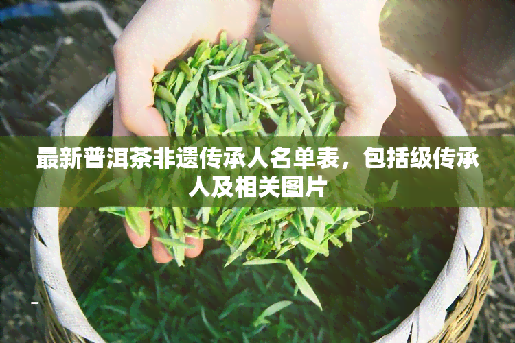 最新普洱茶非遗传承人名单表，包括级传承人及相关图片