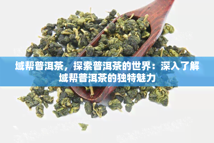 域帮普洱茶，探索普洱茶的世界：深入了解域帮普洱茶的独特魅力