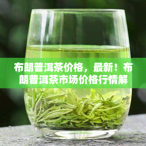 布朗普洱茶价格，最新！布朗普洱茶市场价格行情解析