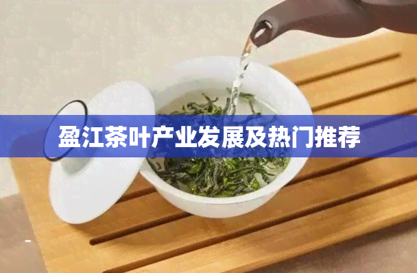 盈江茶叶产业发展及热门推荐