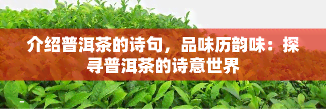 介绍普洱茶的诗句，品味历韵味：探寻普洱茶的诗意世界