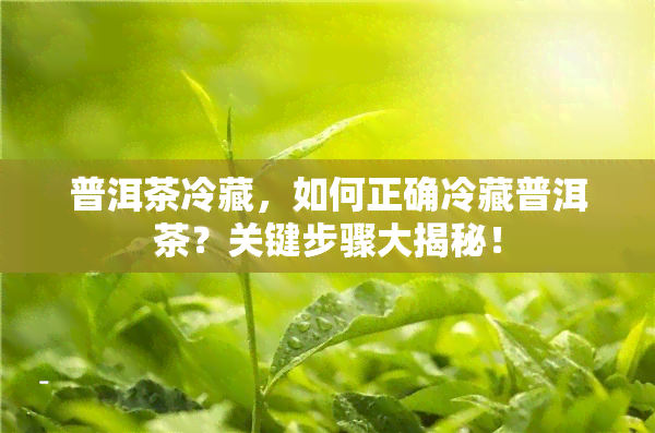 普洱茶冷藏，如何正确冷藏普洱茶？关键步骤大揭秘！