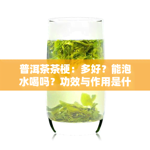 普洱茶茶梗：多好？能泡水喝吗？功效与作用是什么？