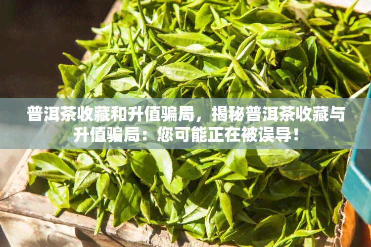 普洱茶收藏和升值骗局，揭秘普洱茶收藏与升值骗局：您可能正在被误导！