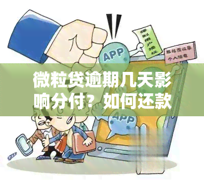 微粒贷逾期几天影响分付？如何还款、多久解除分期及最多能分几期？