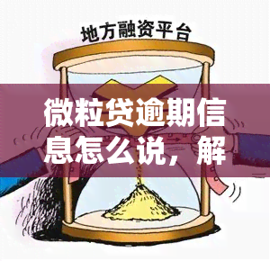 微粒贷逾期信息怎么说，解析微粒贷逾期信息：如何准确描述逾期情况？