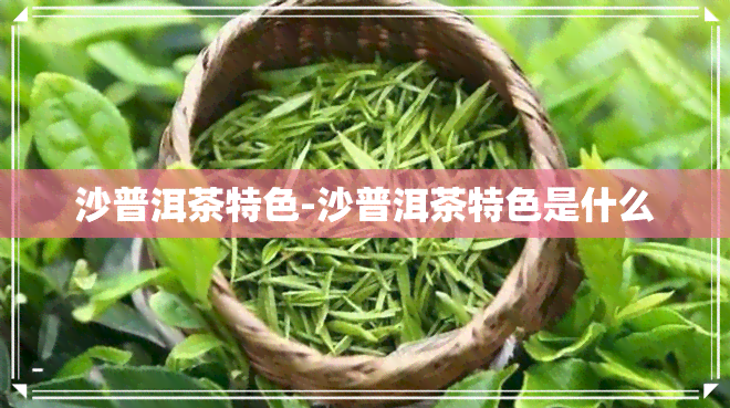 沙普洱茶特色-沙普洱茶特色是什么