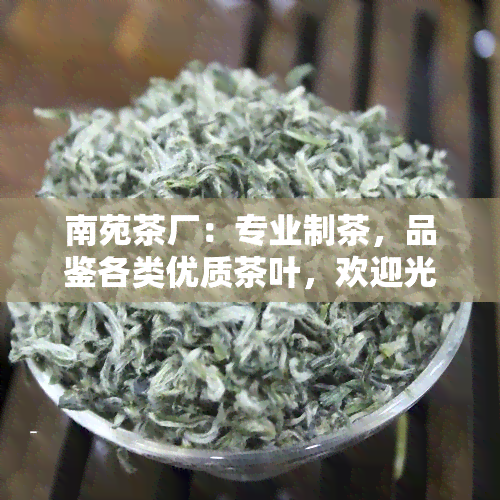 南苑茶厂：专业制茶，品鉴各类优质茶叶，欢迎光临南苑茶、茶舍、茶叶、茶社、茶府，品味南苑茶韵。