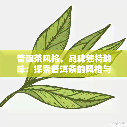 普洱茶风格，品味独特韵味：探索普洱茶的风格与魅力