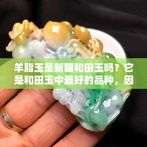 羊脂玉是新疆和田玉吗？它是和田玉中更好的品种，因此非常值钱。新疆料的羊脂玉尤其珍贵，价格高昂。