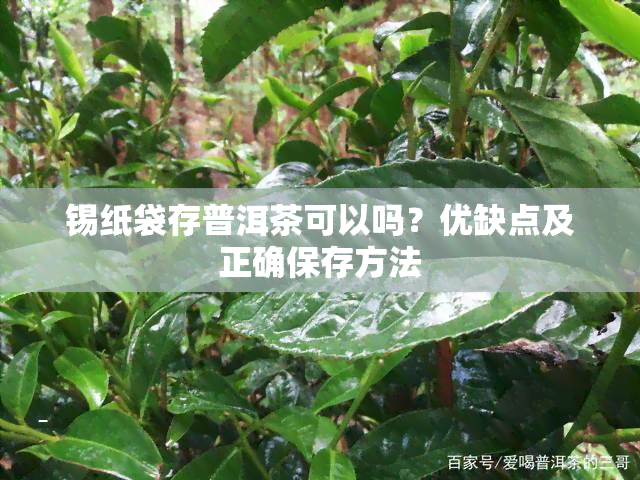 锡纸袋存普洱茶可以吗？优缺点及正确保存方法