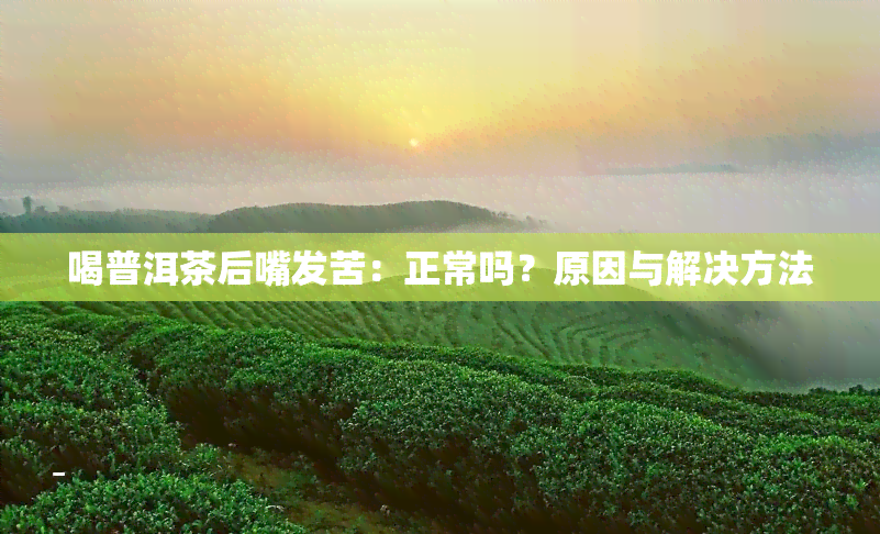 喝普洱茶后嘴发苦：正常吗？原因与解决方法