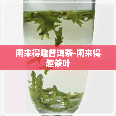 闲来得趣普洱茶-闲来得趣茶叶