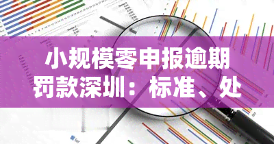 小规模零申报逾期罚款深圳：标准、处理及补报流程全攻略