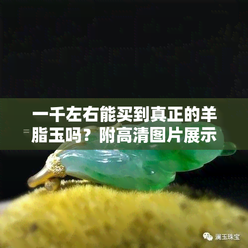 一千左右能买到真正的羊脂玉吗？附高清图片展示