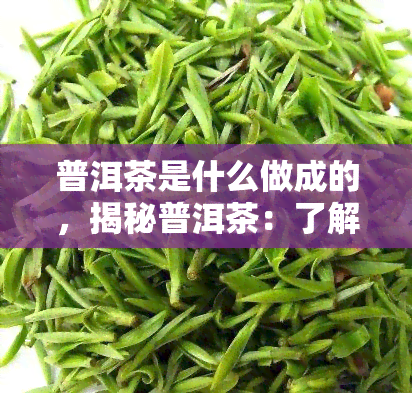 普洱茶是什么做成的，揭秘普洱茶：了解这种独特饮品的制作过程