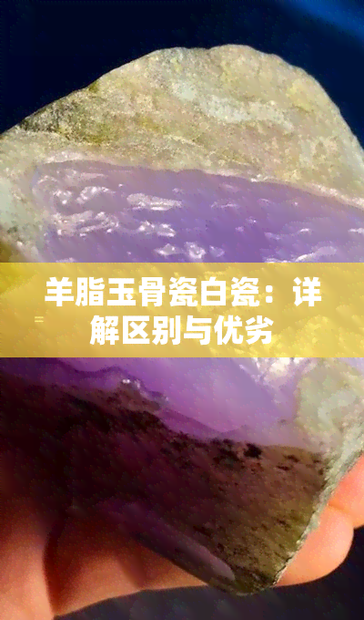 羊脂玉骨瓷白瓷：详解区别与优劣