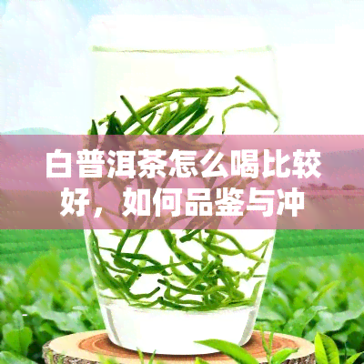 白普洱茶怎么喝比较好，如何品鉴与冲泡优质的白普洱茶？