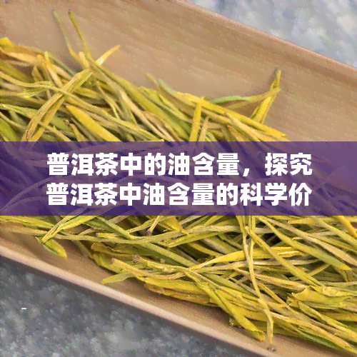 普洱茶中的油含量，探究普洱茶中油含量的科学价值与健影响