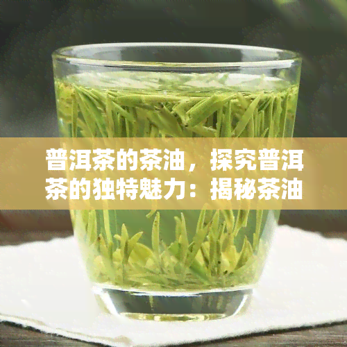 普洱茶的茶油，探究普洱茶的独特魅力：揭秘茶油的秘密