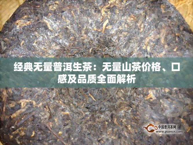 经典无量普洱生茶：无量山茶价格、口感及品质全面解析