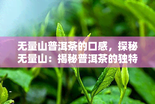 无量山普洱茶的口感，探秘无量山：揭秘普洱茶的独特口感