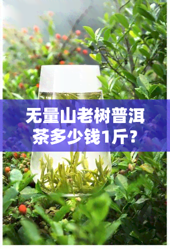 无量山老树普洱茶多少钱1斤？无量山老树、古树普洱茶价格及品质评测