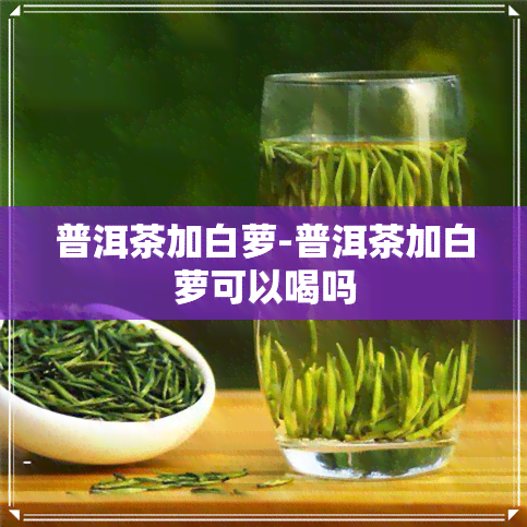 普洱茶加白萝-普洱茶加白萝可以喝吗