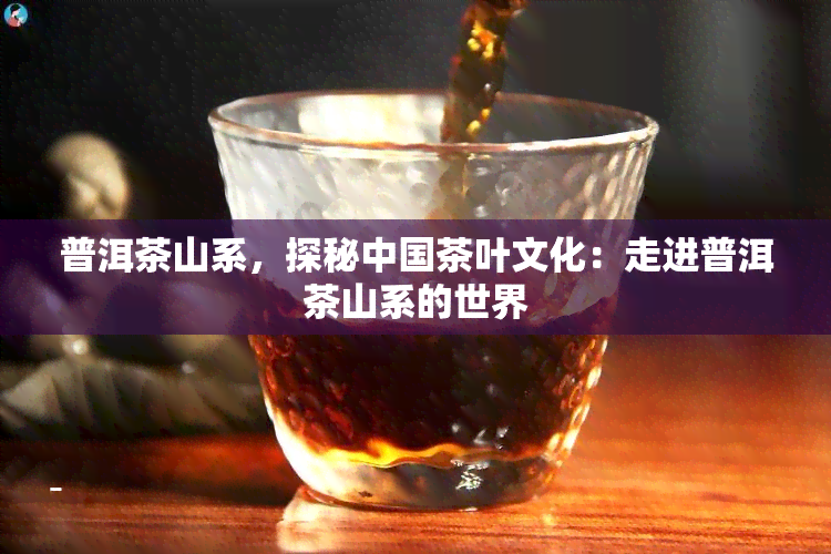 普洱茶山系，探秘中国茶叶文化：走进普洱茶山系的世界