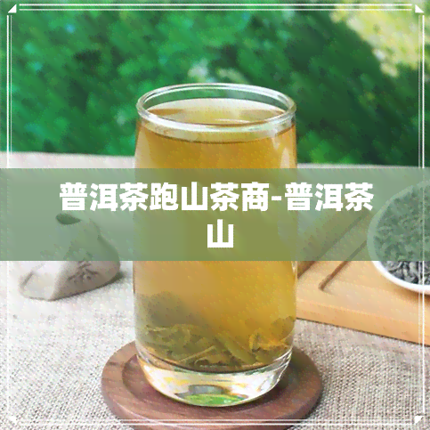 普洱茶跑山茶商-普洱茶 山