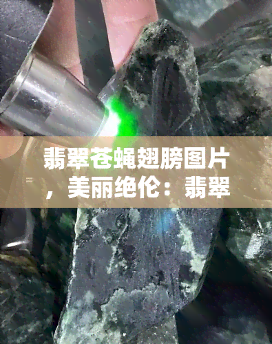 翡翠苍蝇翅膀图片，美丽绝伦：翡翠苍蝇翅膀的精致图片欣赏