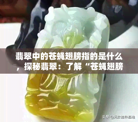 翡翠中的苍蝇翅膀指的是什么，探秘翡翠：了解“苍蝇翅膀”是什么意思