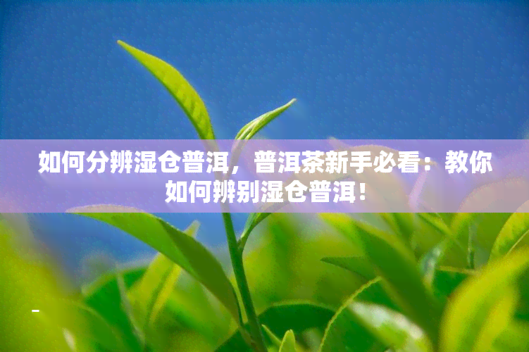 如何分辨湿仓普洱，普洱茶新手必看：教你如何辨别湿仓普洱！