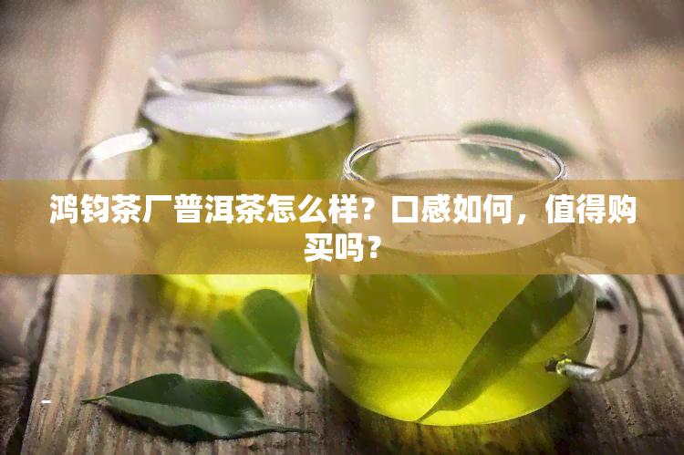 鸿钧茶厂普洱茶怎么样？口感如何，值得购买吗？