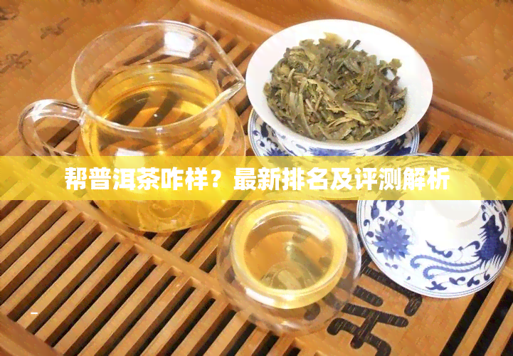 帮普洱茶咋样？最新排名及评测解析