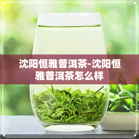 沈阳恒雅普洱茶-沈阳恒雅普洱茶怎么样