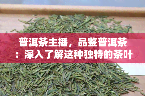 普洱茶主播，品鉴普洱茶：深入了解这种独特的茶叶品种及其文化背景