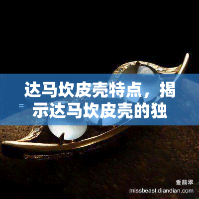 达马坎皮壳特点，揭示达马坎皮壳的独特特点与魅力