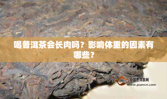 喝普洱茶会长肉吗？影响体重的因素有哪些？