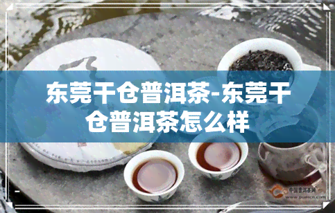 东莞干仓普洱茶-东莞干仓普洱茶怎么样