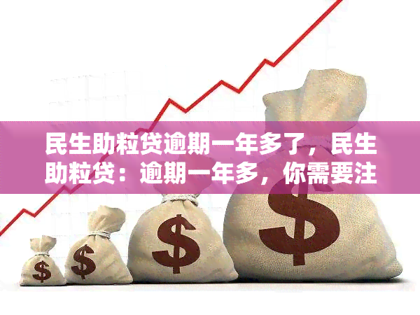 民生助粒贷逾期一年多了，民生助粒贷：逾期一年多，你需要注意什么？