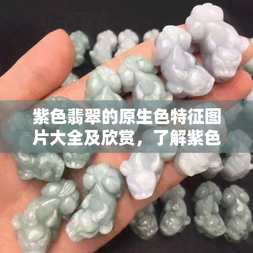 紫色翡翠的原生色特征图片大全及欣赏，了解紫色翡翠原石和品种特性