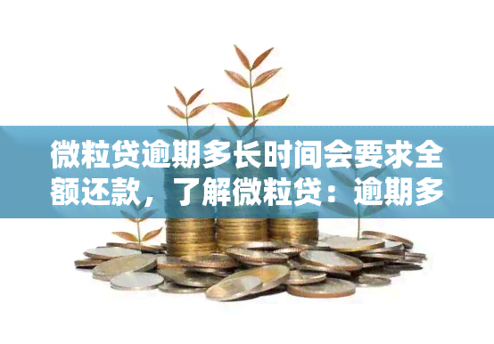 微粒贷逾期多长时间会要求全额还款，了解微粒贷：逾期多久会被要求全额还款？