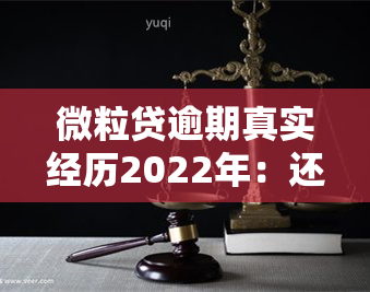 微粒贷逾期真实经历2022年：还款方案及后果全解析