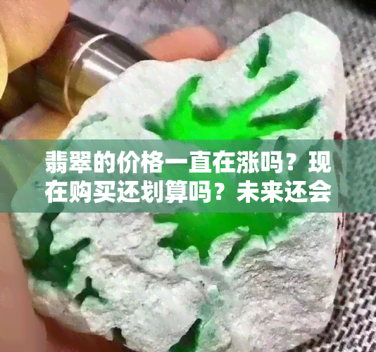 翡翠的价格一直在涨吗？现在购买还划算吗？未来还会继续上涨吗？是否会下跌呢？