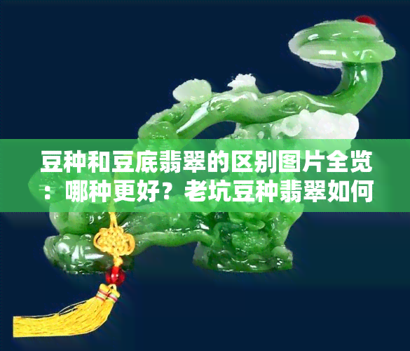 豆种和豆底翡翠的区别图片全览：哪种更好？老坑豆种翡翠如何？