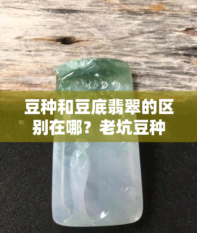 豆种和豆底翡翠的区别在哪？老坑豆种翡翠如何鉴别？