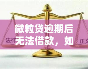 微粒贷逾期后无法借款，如何解决？