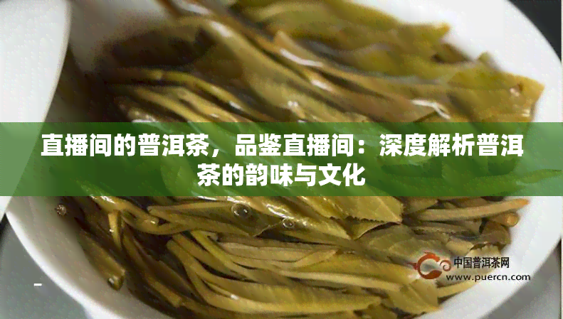 直播间的普洱茶，品鉴直播间：深度解析普洱茶的韵味与文化