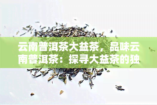 云南普洱茶大益茶，品味云南普洱茶：探寻大益茶的独特魅力